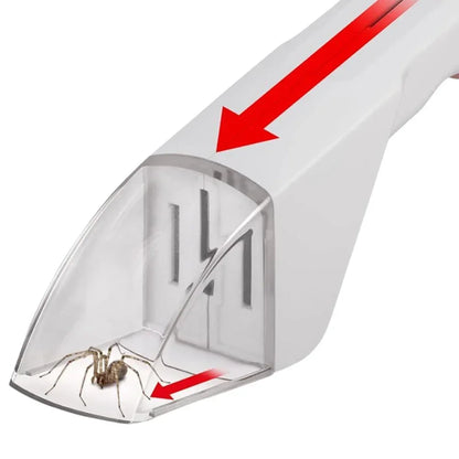 Attrape-Insectes