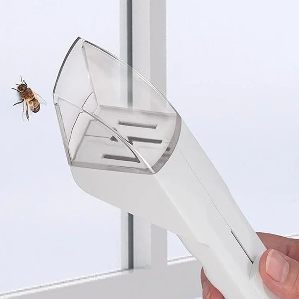 Attrape-Insectes